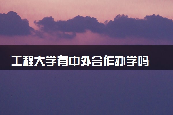 工程大学有中外合作办学吗 工科类读中外合办好吗