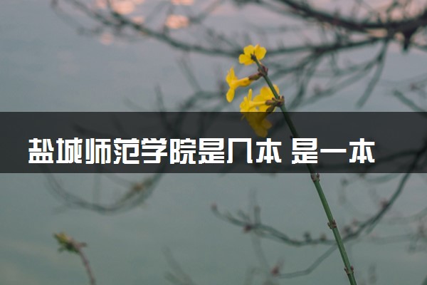 盐城师范学院是几本 是一本还是二本大学