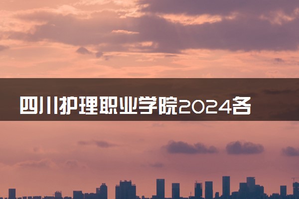四川护理职业学院2024各省录取分数线及最低位次是多少