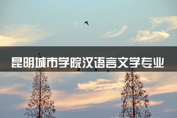 昆明城市学院汉语言文学专业怎么样 录取分数线多少