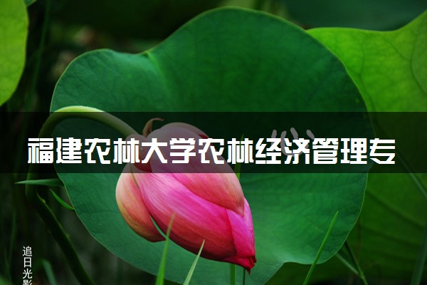 福建农林大学农林经济管理专业怎么样 录取分数线多少