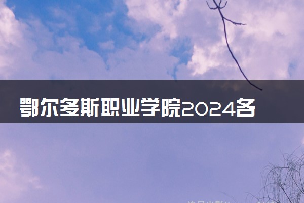 鄂尔多斯职业学院2024各省录取分数线及最低位次是多少