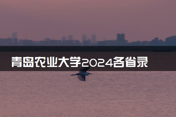 青岛农业大学2024各省录取分数线及最低位次是多少