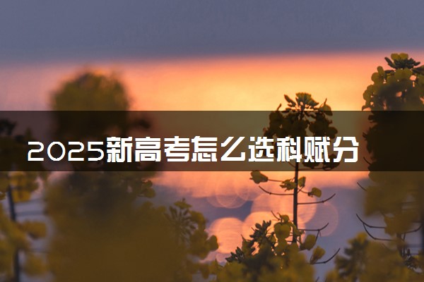 2025新高考怎么选科赋分有优势 如何选择