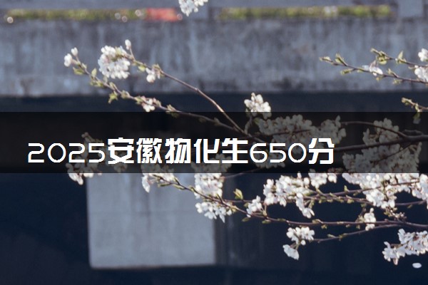 2025安徽物化生650分左右能上什么大学 可以报考的院校名单