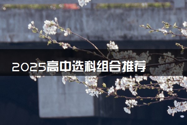 2025高中选科组合推荐 哪些组合比较好