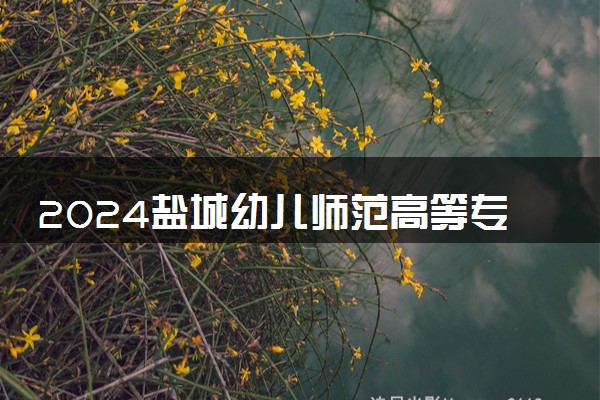 2024盐城幼儿师范高等专科学校在山东录取分数线 各专业分数及位次