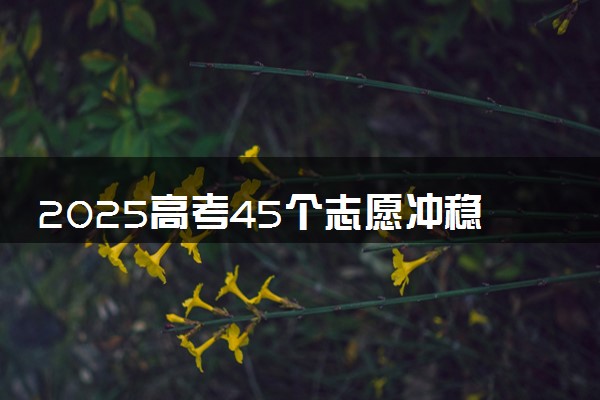 2025高考45个志愿冲稳保比例 怎么报考比较好