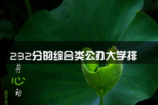 232分的综合类公办大学排行榜（2025考生参考)
