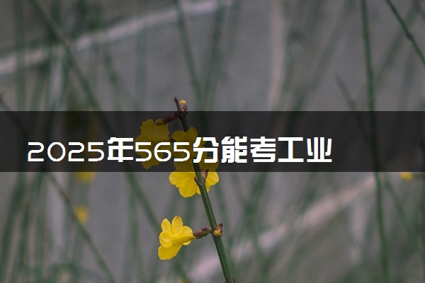 2025年565分能考工业工程专业吗 565分工业工程专业大学推荐