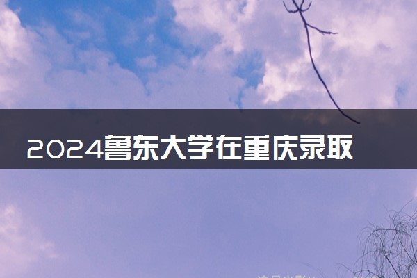 2024鲁东大学在重庆录取分数线 各专业分数及位次