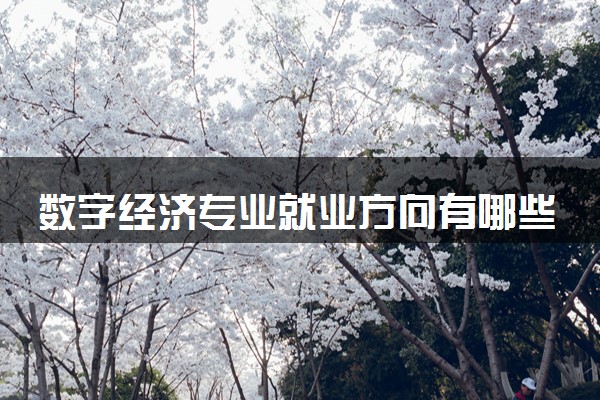 数字经济专业就业方向有哪些 2025好找工作吗