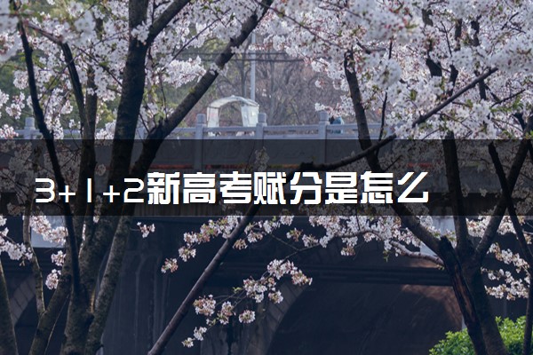 3+1+2新高考赋分是怎么计算的 公式是什么