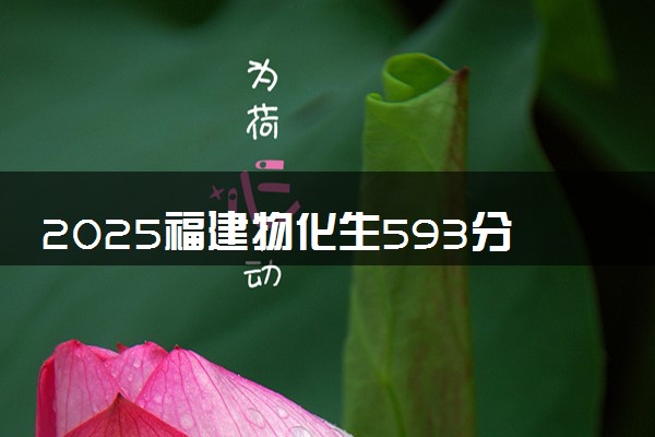 2025福建物化生593分左右能上什么大学 可以报考的院校名单