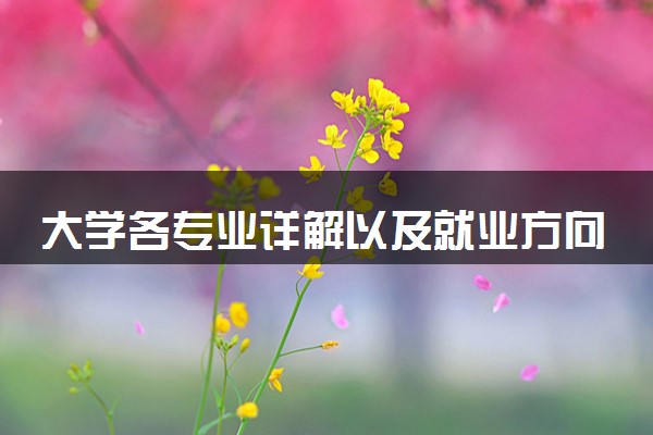 大学各专业详解以及就业方向 2025哪些专业前景好