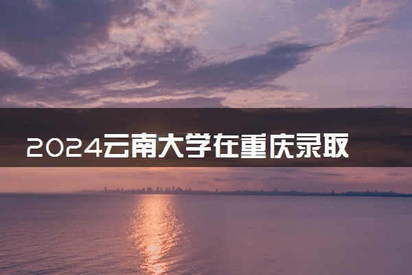 2024云南大学在重庆录取分数线 各专业分数及位次