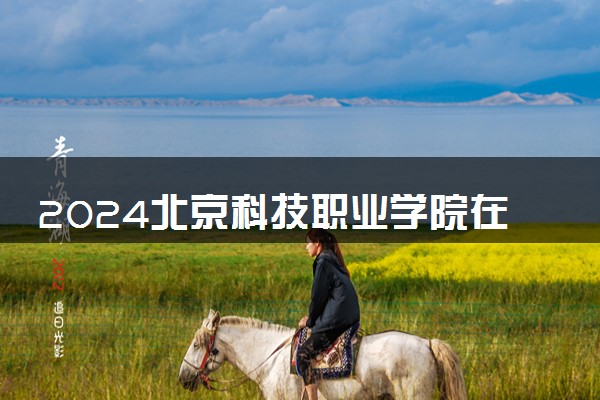 2024北京科技职业学院在山东录取分数线 各专业分数及位次