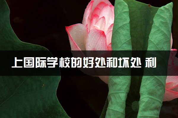 上国际学校的好处和坏处 利弊分析