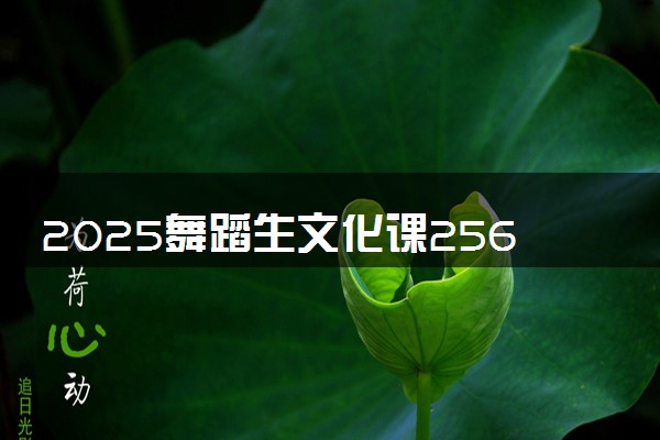 2025舞蹈生文化课256分能上呼和浩特职业学院吗
