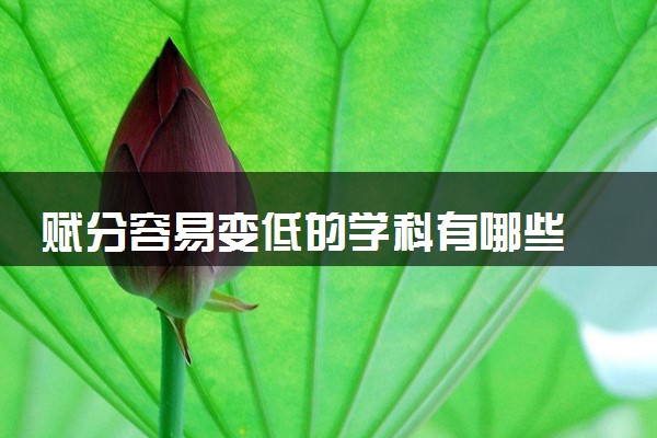 赋分容易变低的学科有哪些 怎么选科比较好