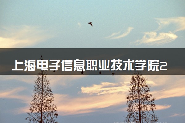 上海电子信息职业技术学院2024各省录取分数线及最低位次是多少