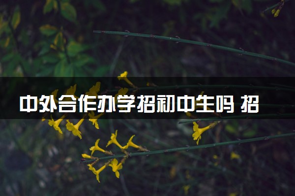 中外合作办学招初中生吗 招生方式有哪些