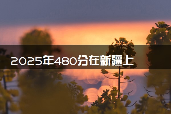 2025年480分在新疆上什么大学好 近三年录取分数线是多少