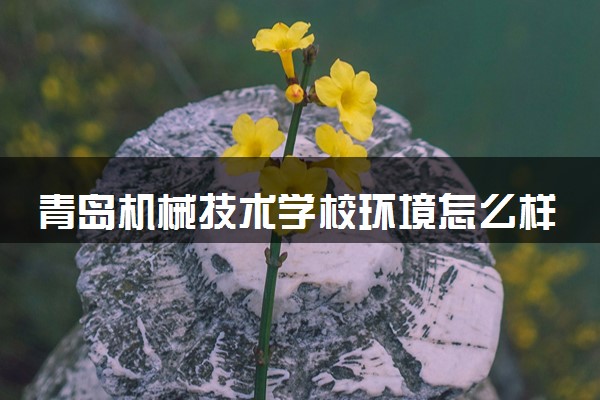 青岛机械技术学校环境怎么样 学校好不好