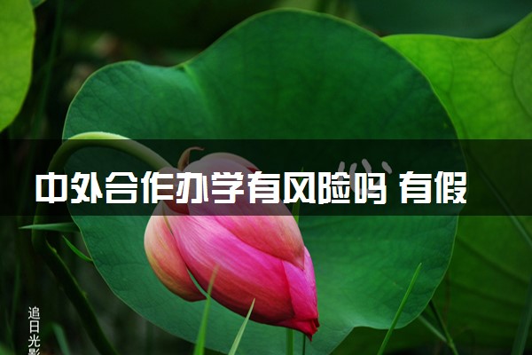 中外合作办学有风险吗 有假的吗