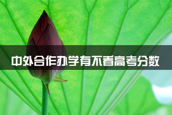 中外合作办学有不看高考分数的吗 有低分的吗