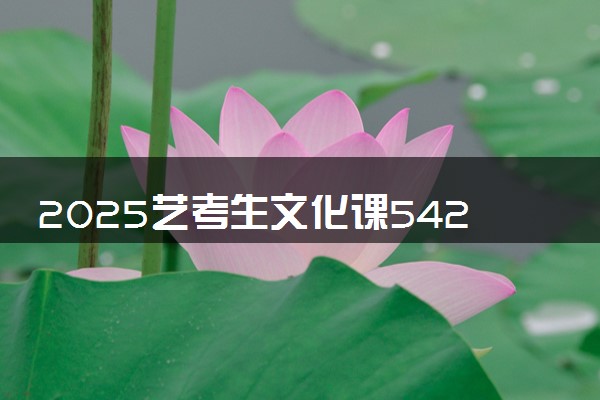 2025艺考生文化课542分能上甘肃中医药大学吗