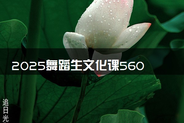 2025舞蹈生文化课560分能上湖南大学吗