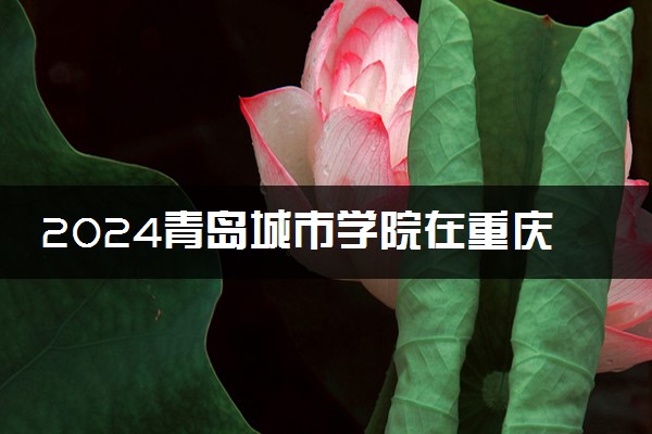 2024青岛城市学院在重庆录取分数线 各专业分数及位次