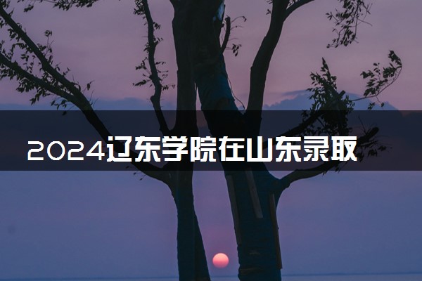 2024辽东学院在山东录取分数线 各专业分数及位次