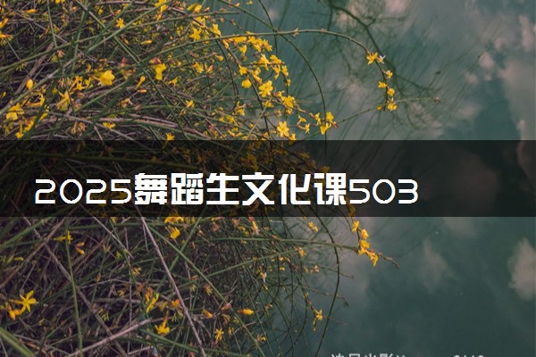2025舞蹈生文化课503分能上常州工学院吗