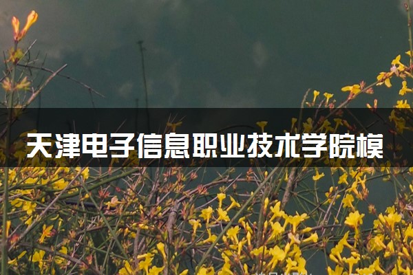 天津电子信息职业技术学院模具设计与制造专业怎么样 录取分数线多少
