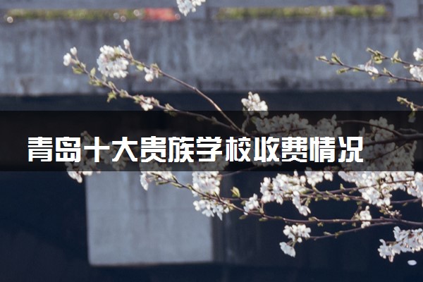 青岛十大贵族学校收费情况 最贵的是哪所