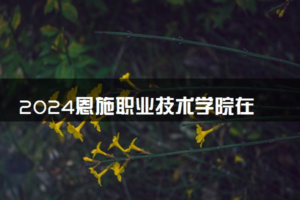 2024恩施职业技术学院在山东录取分数线 各专业分数及位次