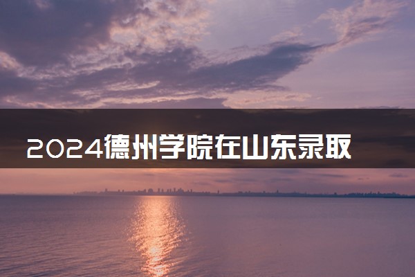 2024德州学院在山东录取分数线 各专业分数及位次