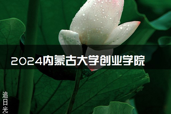 2024内蒙古大学创业学院在山东录取分数线 各专业分数及位次