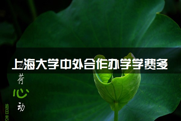 上海大学中外合作办学学费多少钱 值得读吗