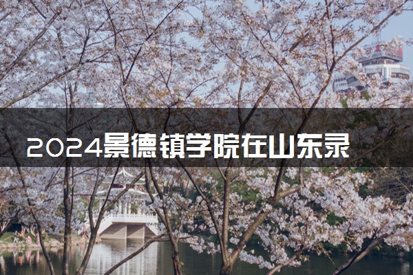 2024景德镇学院在山东录取分数线 各专业分数及位次