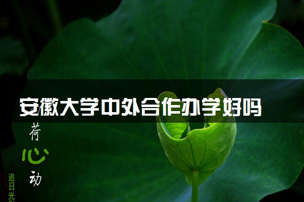 安徽大学中外合作办学好吗 在本部吗