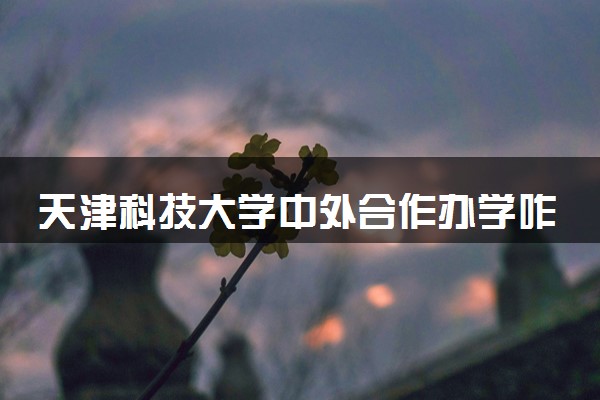 天津科技大学中外合作办学咋样 就业率如何