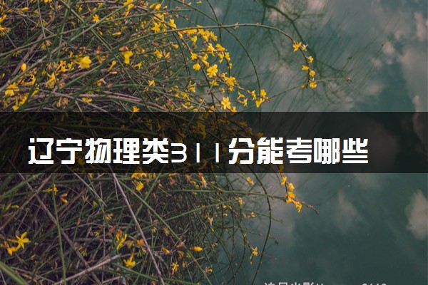 辽宁物理类311分能考哪些大学 2025考生稳上的大学名单