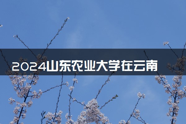 2024山东农业大学在云南录取分数线 各专业分数及位次