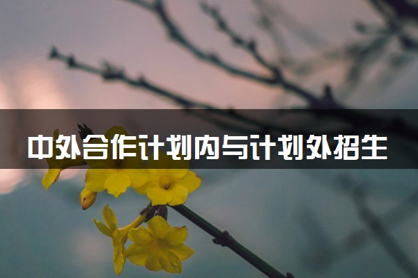 中外合作计划内与计划外招生的区别 有什么不同