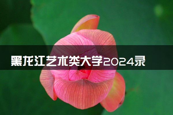 黑龙江艺术类大学2024录取分数线是多少 什么学校好