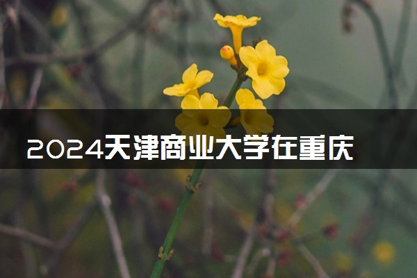 2024天津商业大学在重庆录取分数线 各专业分数及位次