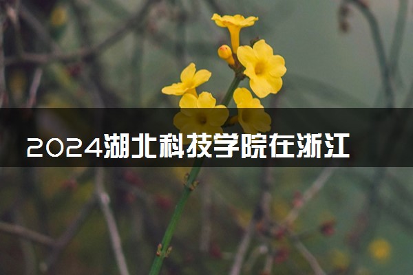 2024湖北科技学院在浙江录取分数线 各专业分数及位次